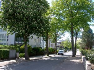 Neue Bergstraße Scharbeutz